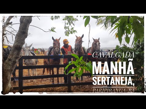 IMAGENS CAVALGADA MANHÃ SERTANEJA 2026, PARIPIRANGA-BA 