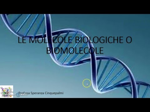 Uova solide di vermi Siccome i parassiti in un organismo vengono alla luce