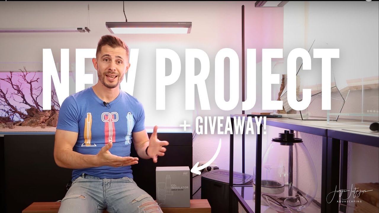 UNS 60U Aquascape in my NEW STUDIO