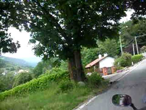 pollone biella favaro (2/2)