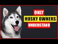 Things NOBODY Tells You About Owning A Husky