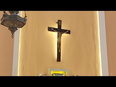 Santa Messa 04-08-2020