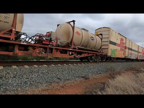 SCT008 & CSR022 McIntyres Reserve NSW.  Sat 08th July 2023