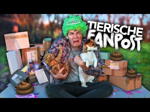 TIERISCHE FANPOST AUSPACKEN mit Hund & Katze | Joey's Jungle