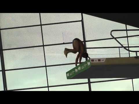 1st Round - FINA World Diving 10m Platform Final - London 27 April 2014 - Tom Daley