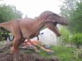 Dinosauria