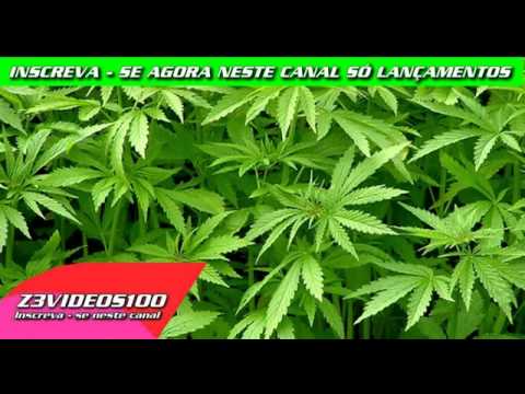 O Maior Maconheiro - Mc Bin Laden Mc Daleste Mc Cigana Mc Yoshy Mc 2K Mc Amaral