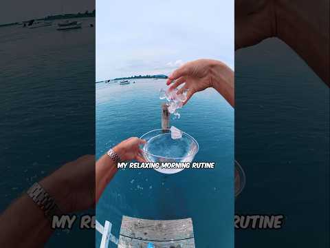 The North Sea Is Scary! 😱