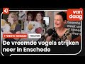 Familievoorstelling Vreemde Vogels houdt kijkers een spiegel voor