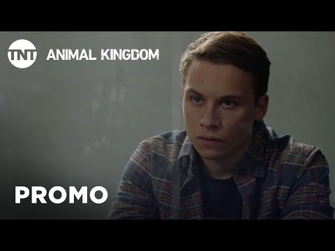 afbeelding Animal Kingdom: Shock - Season 3 Premieres This Summer [PROMO] | TNT