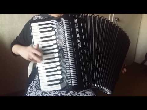 Accordion Hohner Amica IV 96