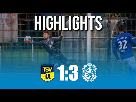 TSV Meerbusch vs. SSVg Velbert 02 – Highlights & Tore | Oberliga Niederrhein