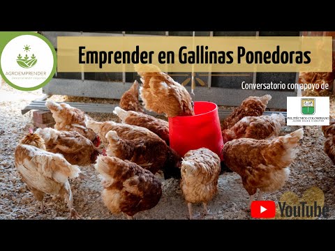 , title : 'Charla  Aspectos básicos para emprender en un sistema de Gallinas Ponedoras'