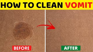 How to Clean Vomit from Carpet with Vinegar & Baking soda | House Keeper