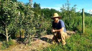 Starting Our Permaculture Orchard