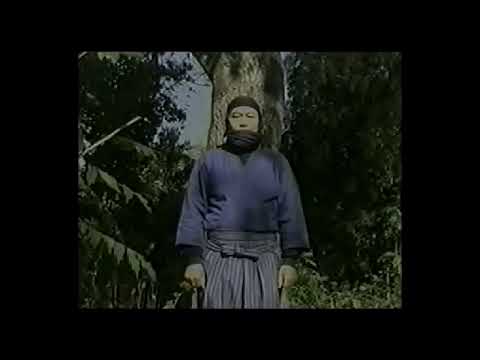 Manaka sensei ( Togakure Ryu Ninpo)