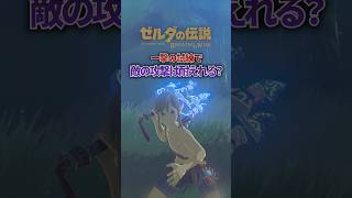 ブレワイの「一撃の試練」で敵の攻撃を一撃耐えることはできる...?#ゼルダの伝説 #ブレワイ
