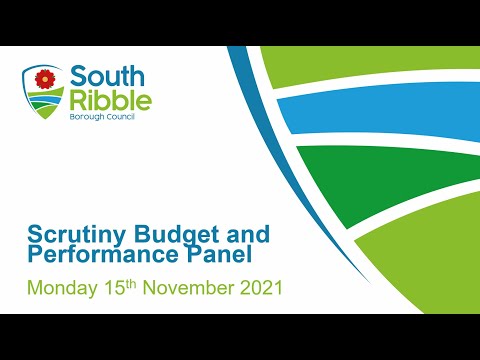 Scrutiny Budget and Performance Panel 15.11.2021