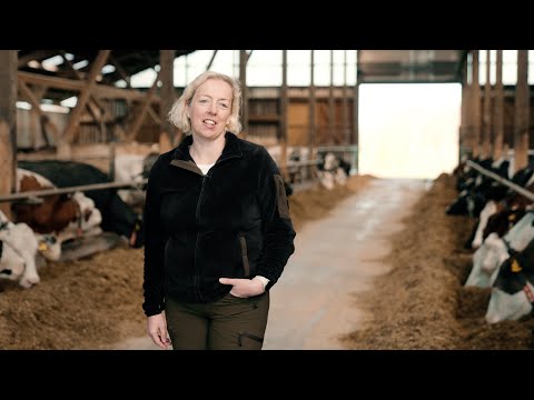 Eutergesundheit - LKV Niedersachsen | DIRECTORS CUT