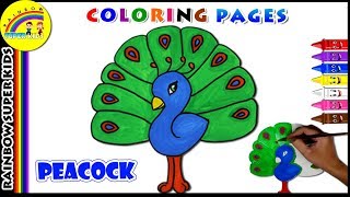 How to Draw a Peacock Step by Step - Easy Kids Drawing Tutorial