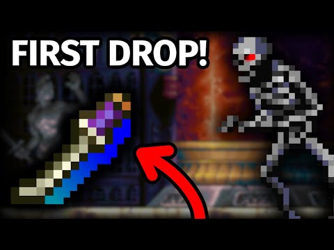 I Can't Believe I Got So LUCKY! - SotN Randomizer Race!