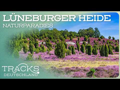 Treasures of the Lüneburg Heath | Travel documentary