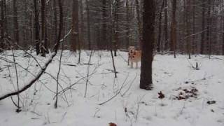 CLOE LET IT SNOW.wmv