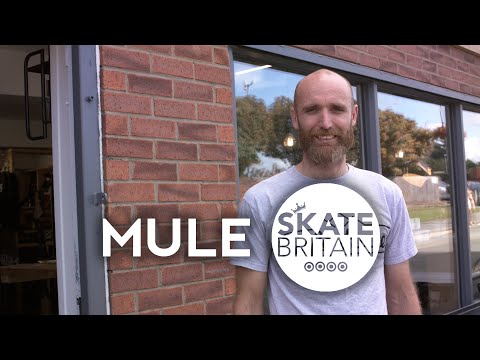 How our Evolution Mode helped to improve their online shop