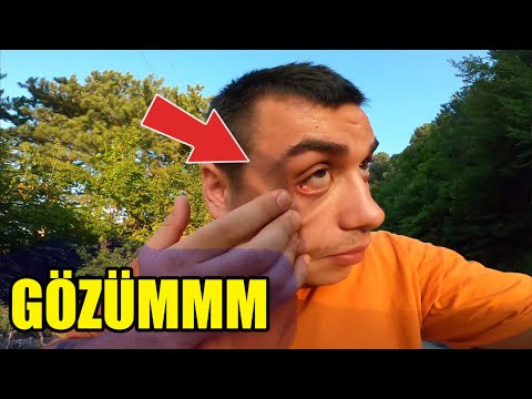 A FLY GOT IN MY EYES - A PIG JUMPED ONTO THE ROAD - SHORT TOUR 60 KM #MotoVlog61