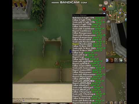 Runescape Bots Are Weird