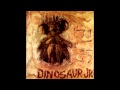 Dinosaur Jr - Freak Scene