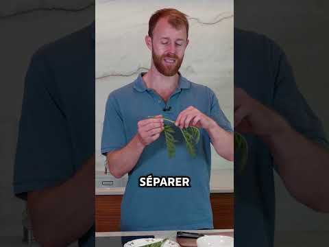 Chocolate and tansy soufflé recipe