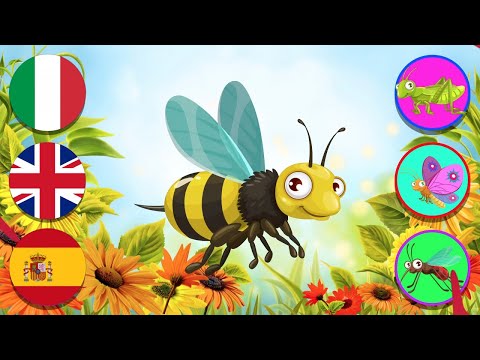 GUESS The Insects - 🇮🇹 Italian 🇬🇧English 🇪🇸 Spanish with Lucilla, Daisy Dot and Luli Pampín