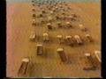 Pink Floyd 1987 Beach Beds of A Momentary ...