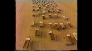 Pink Floyd 1987 Beach Beds of A Momentary Lapse of Reason album