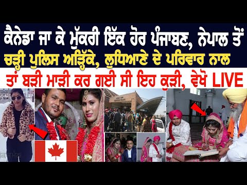 Ludhiana News Update: ਕੈਨੇਡਾ ਜਾ ਕੇ ਮੁੱਕਰੀ ਇੱਕ ਹੋਰ ਪੰਜਾਬਣ, ਨੇਪਾਲ ਤੋਂ ਚੜ੍ਹੀ ਪੁਲਿਸ ਅੜ੍ਹਿੱਕੇ, ਪਰਿਵਾਰ ਨਾਲ