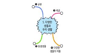 [비상교육 와이즈캠프] 개뼈노트 5학년 1학기 5단원 과학 / 다양한 생물과 우리 생활