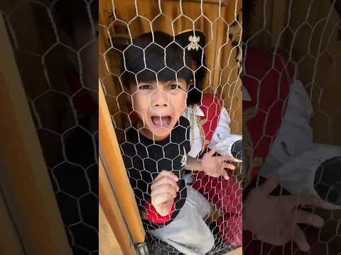 Bruder steckte fest!