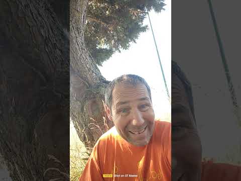 Adevărul este Cuvântul Viu al lui Dumnezeu 