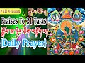 ☸21 Praises To Tara(Daily Practice) Dolma 21|Tibetan Prayer|སྒྲོལ་མ་ཉེར་ཅིག་བསྟ