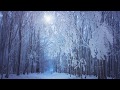 Enya- Sumiregusa
