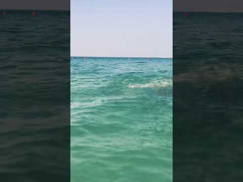 A simple dive in the water   🏊‍♀️🏊‍♀️🏊🏊‍♂️