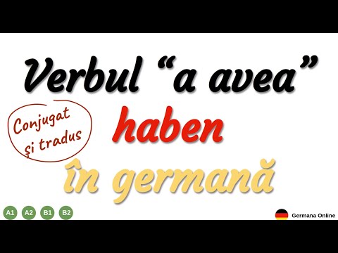 Lecția 6 | Verbul HABEN - A AVEA / Conjugat Și Tradus