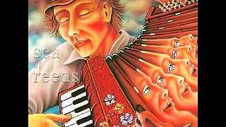 Accordion Tribe - Sea of Reeds [FULL ALBUM]