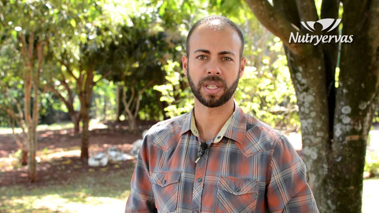 Composto de Mel Nutryervas