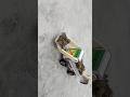 Matchbox JCB Shorts Youtubeshorts Craft Jcb Trending Vairal