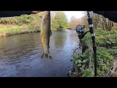 River Braid Spring Wild Trout