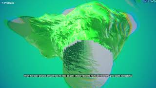 Secrets Of Soil | GamePlay PC