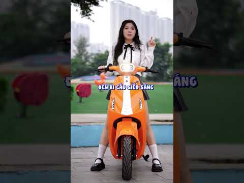 Xe điện DK V2