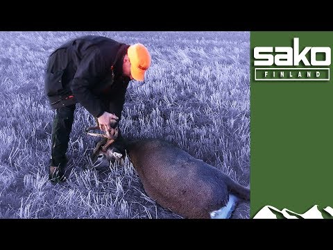 On Test: Sako Super Hammerhead